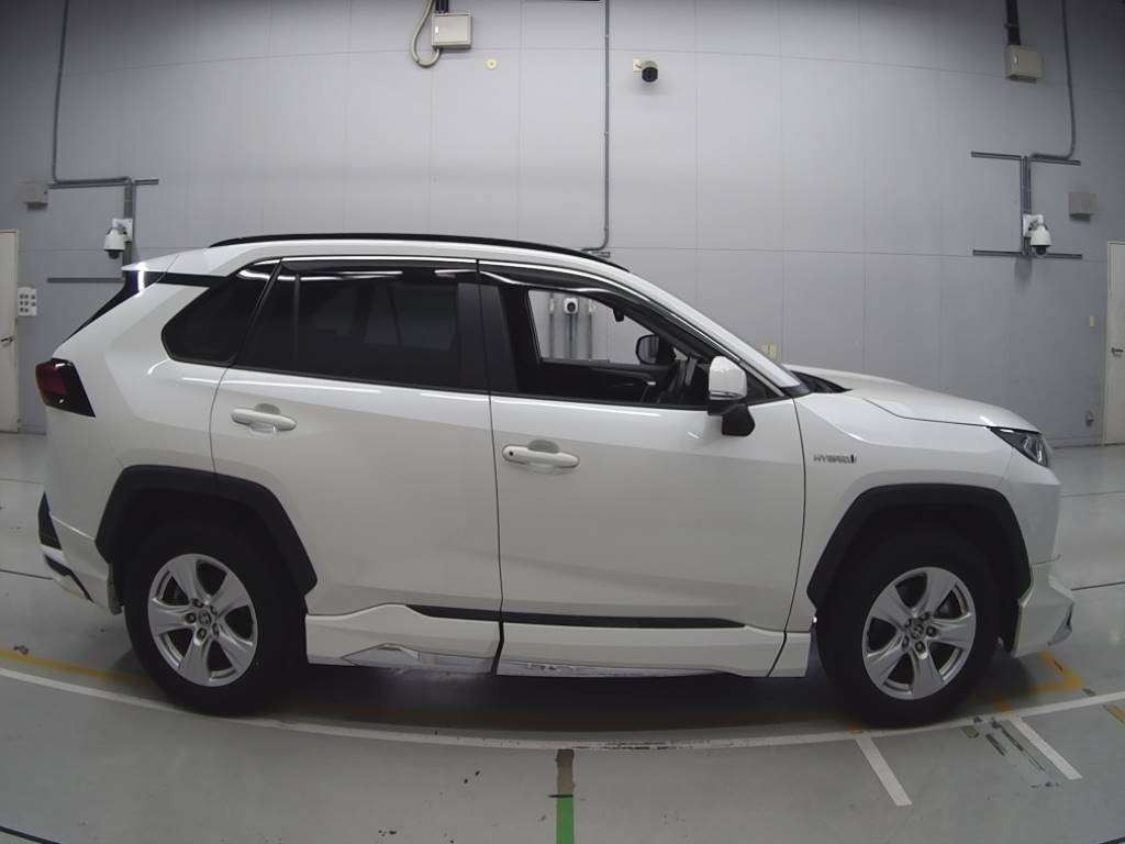 2019 Toyota RAV4 AXAH52[2]