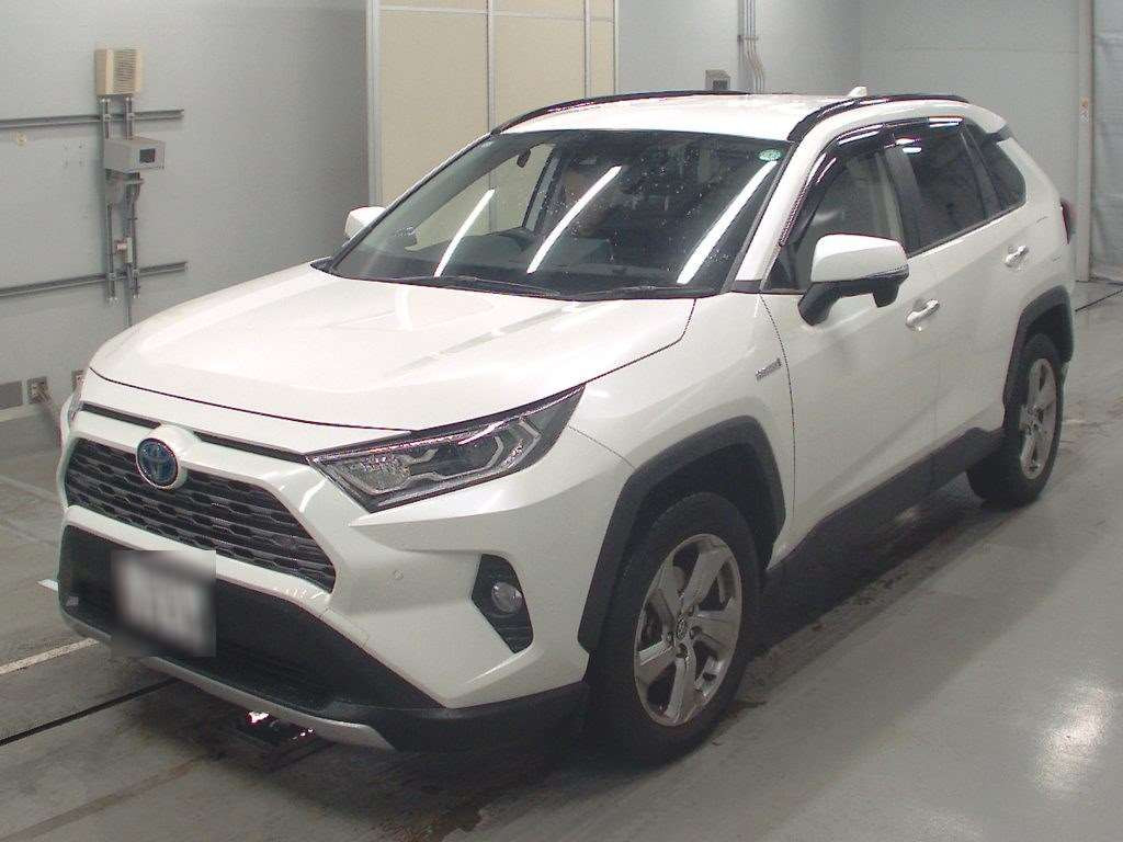 2019 Toyota RAV4 AXAH54[0]