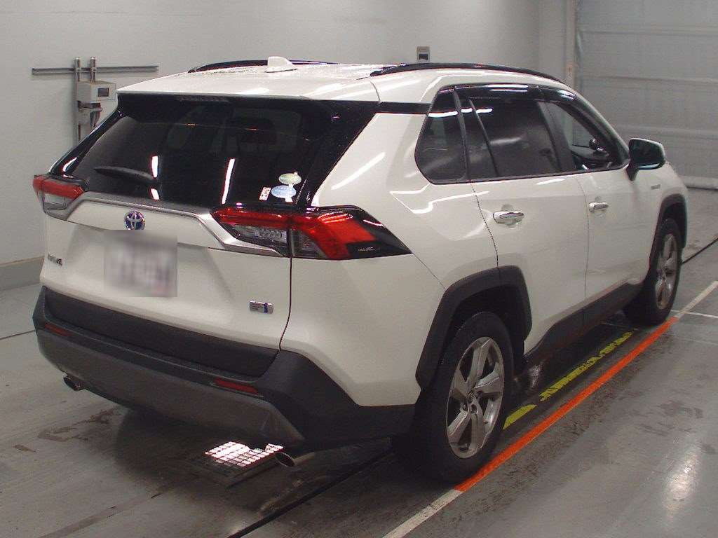 2019 Toyota RAV4 AXAH54[1]