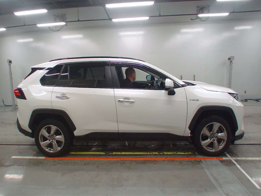 2019 Toyota RAV4 AXAH54[2]