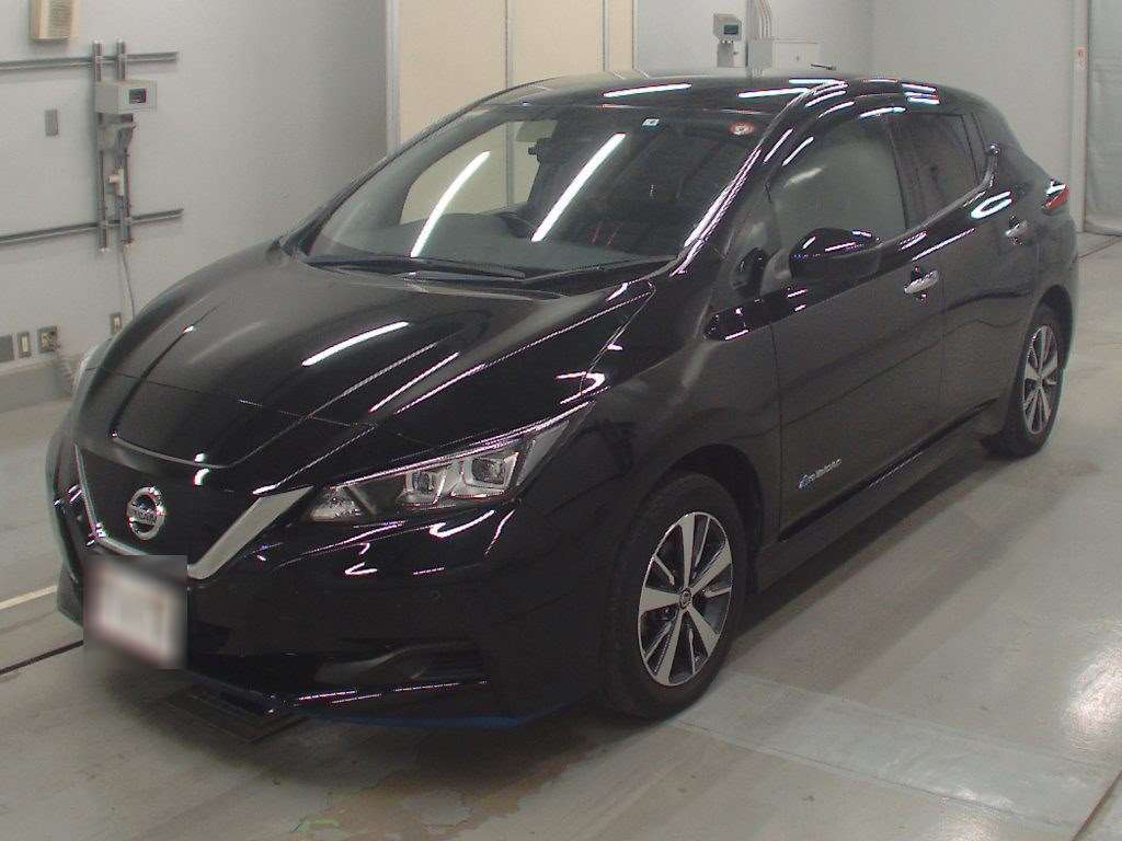 2019 Nissan Leaf ZE1[0]