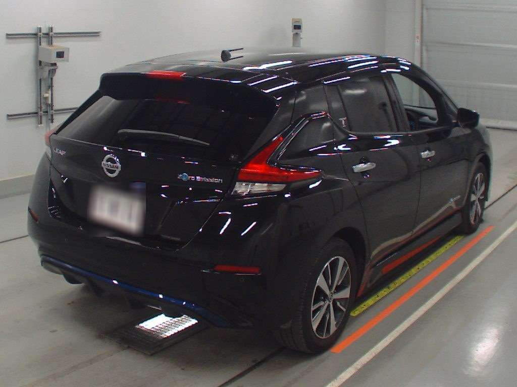 2019 Nissan Leaf ZE1[1]