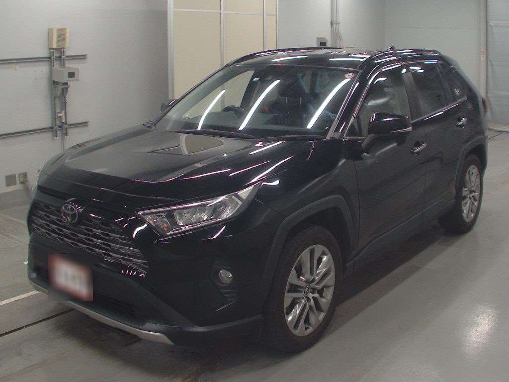 2019 Toyota RAV4 MXAA54[0]