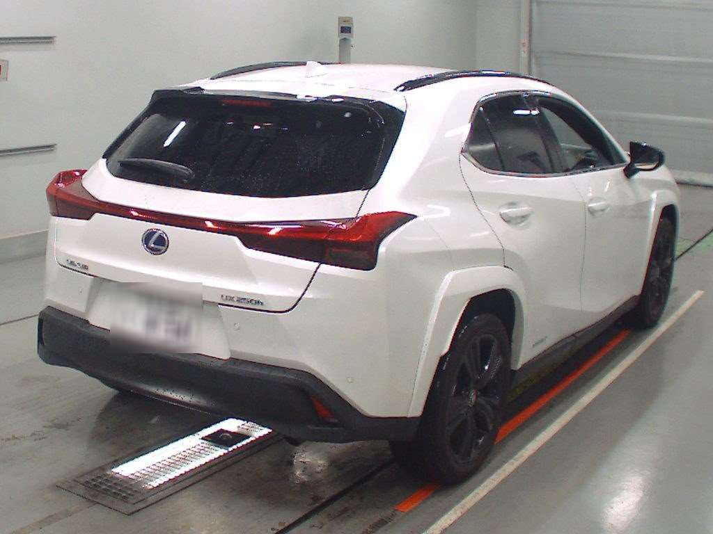 2022 Lexus UX MZAH10[1]