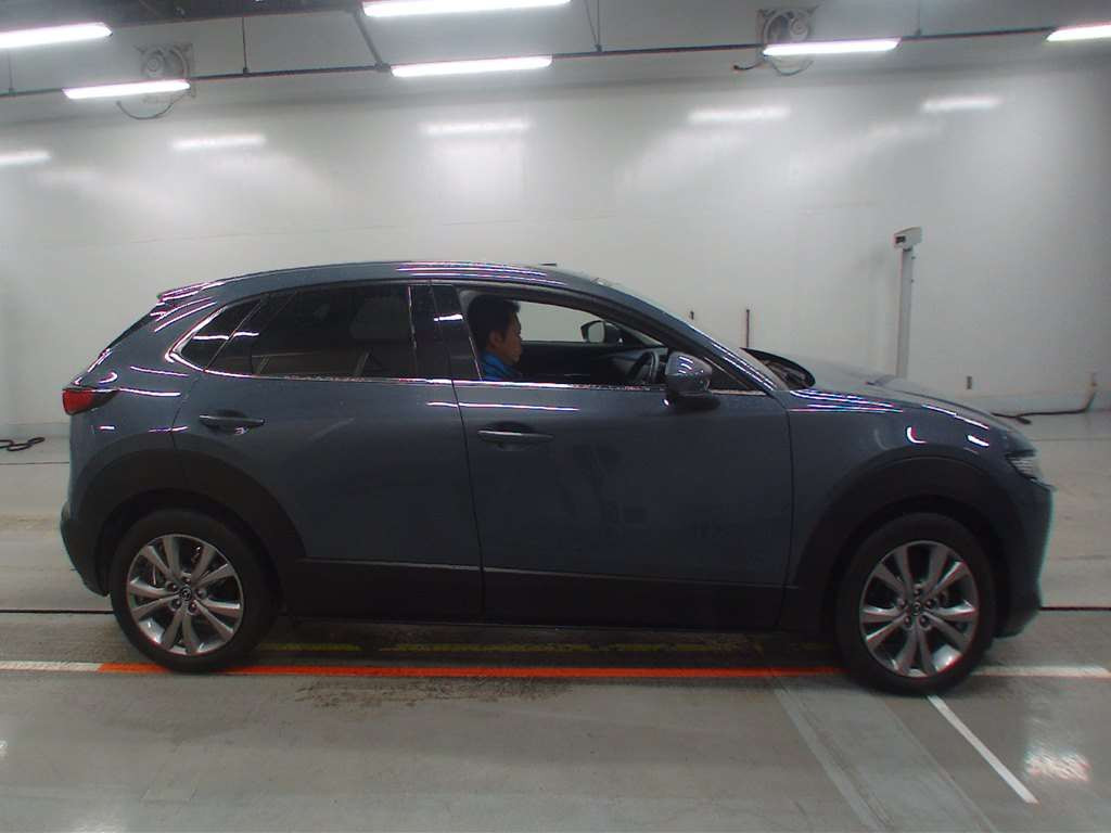 2019 Mazda CX-30 DMEP[2]