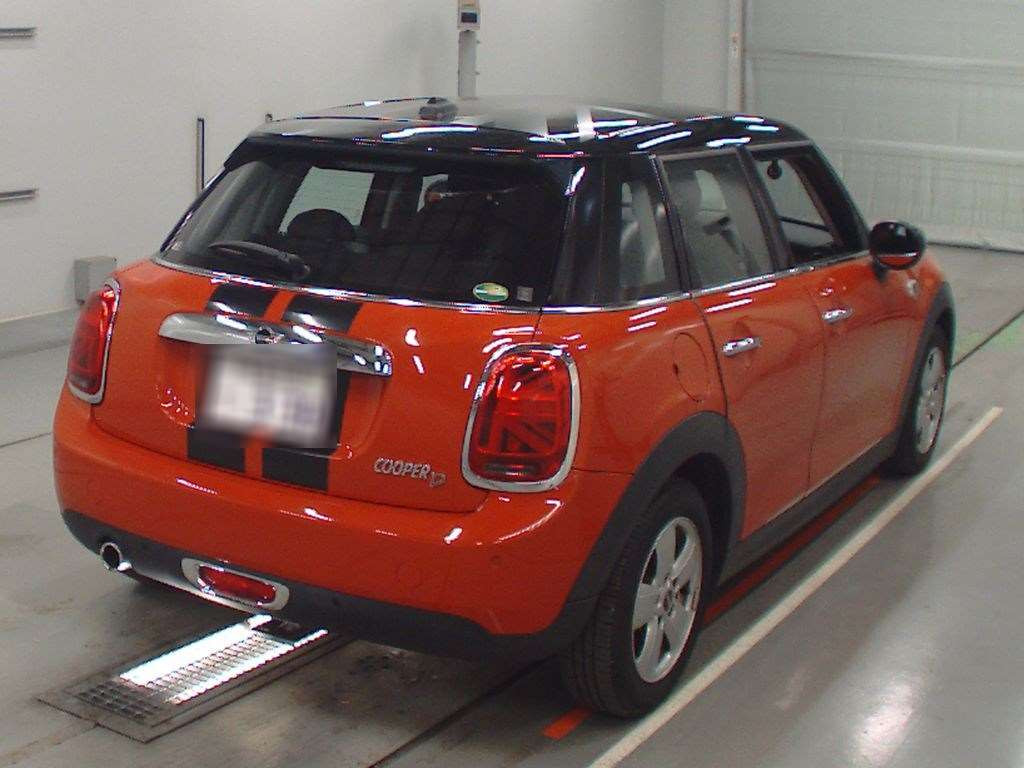 2020 Mini MINI XV15MW[1]