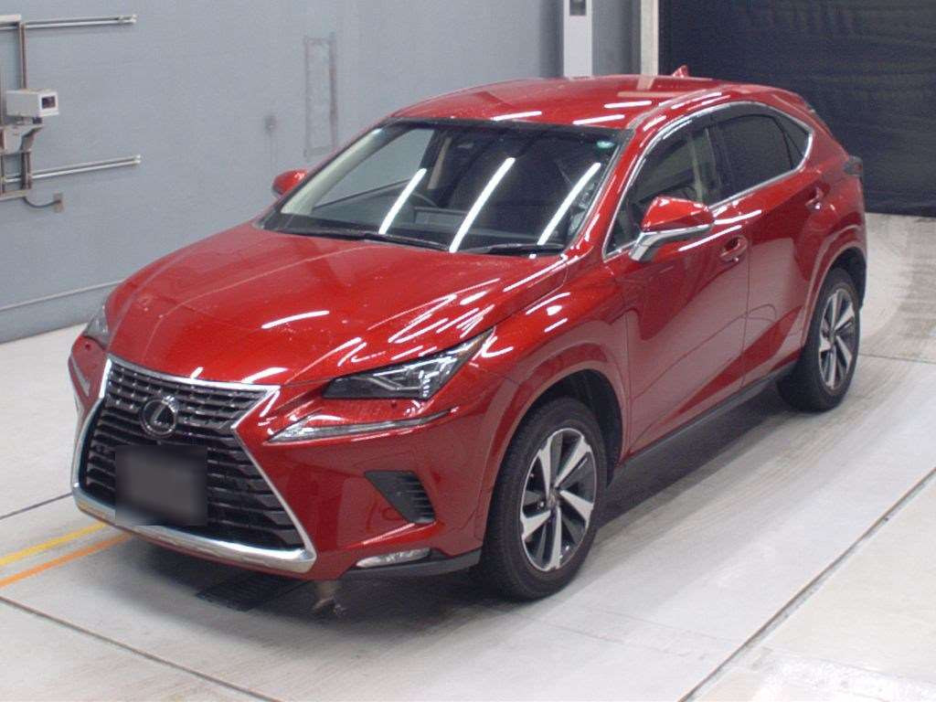 2019 Lexus NX AGZ15[0]