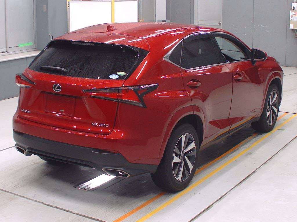 2019 Lexus NX AGZ15[1]