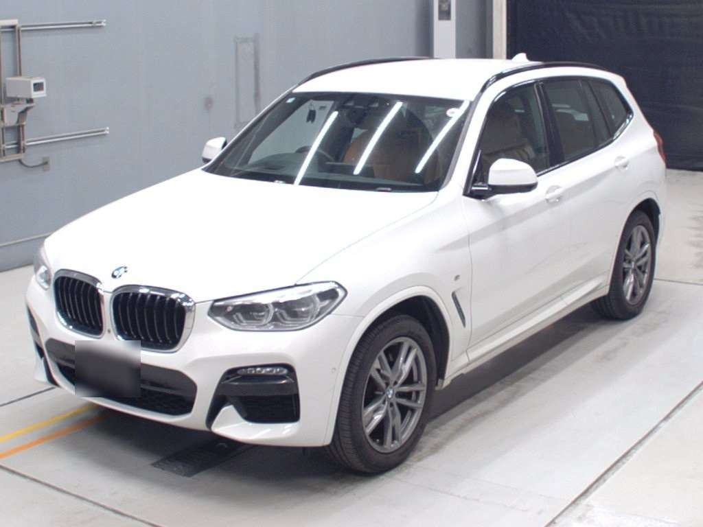 2019 BMW X3 TX20[0]