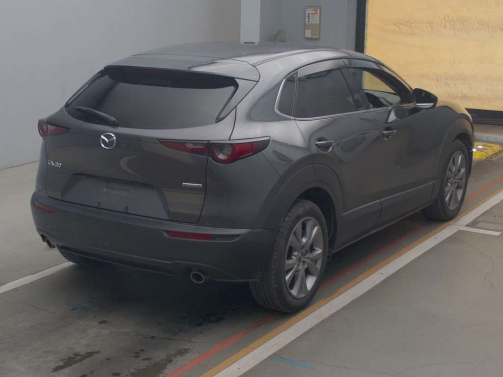 2019 Mazda CX-30 DM8P[1]