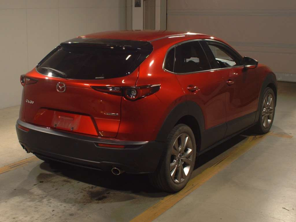 2019 Mazda CX-30 DM8P[1]