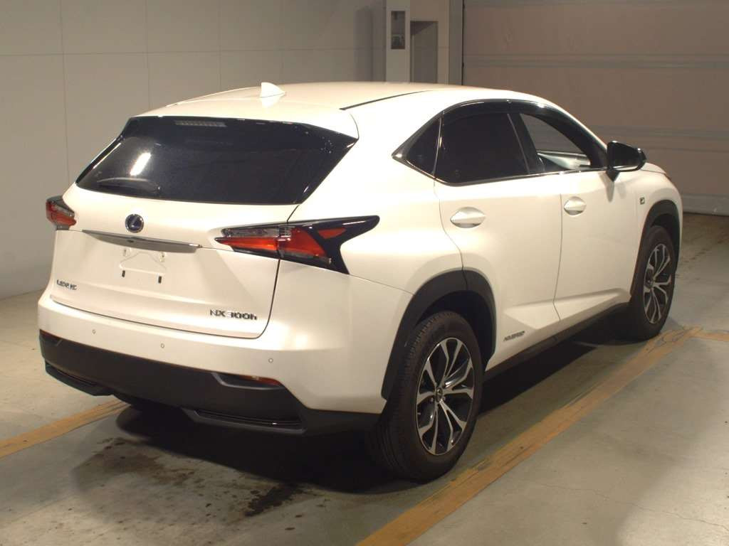 2014 Lexus NX AYZ10[1]