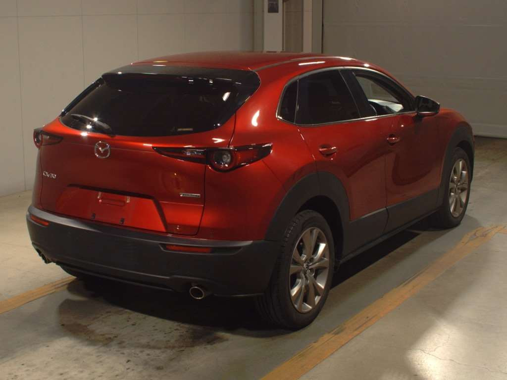 2019 Mazda CX-30 DMEP[1]