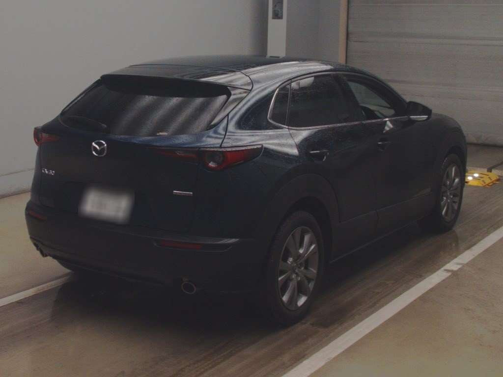 2021 Mazda CX-30 DMEP[1]