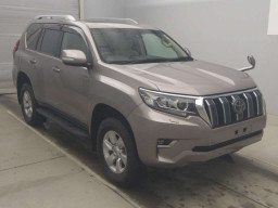 2019 Toyota Land Cruiser Prado