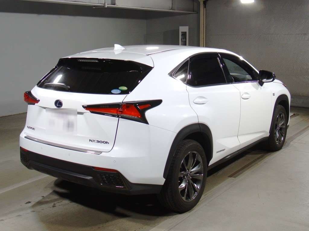 2019 Lexus NX AYZ10[1]