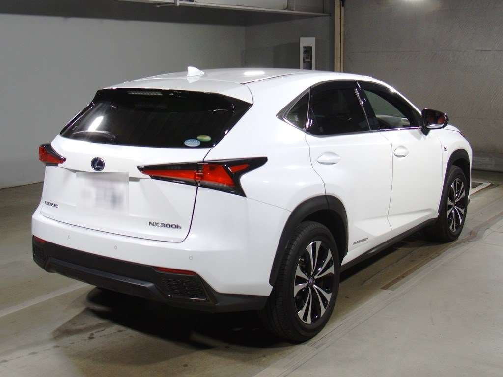 2020 Lexus NX AYZ10[1]