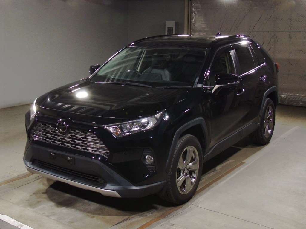 2019 Toyota RAV4 MXAA54[0]