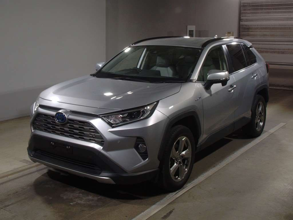 2019 Toyota RAV4 AXAH54[0]