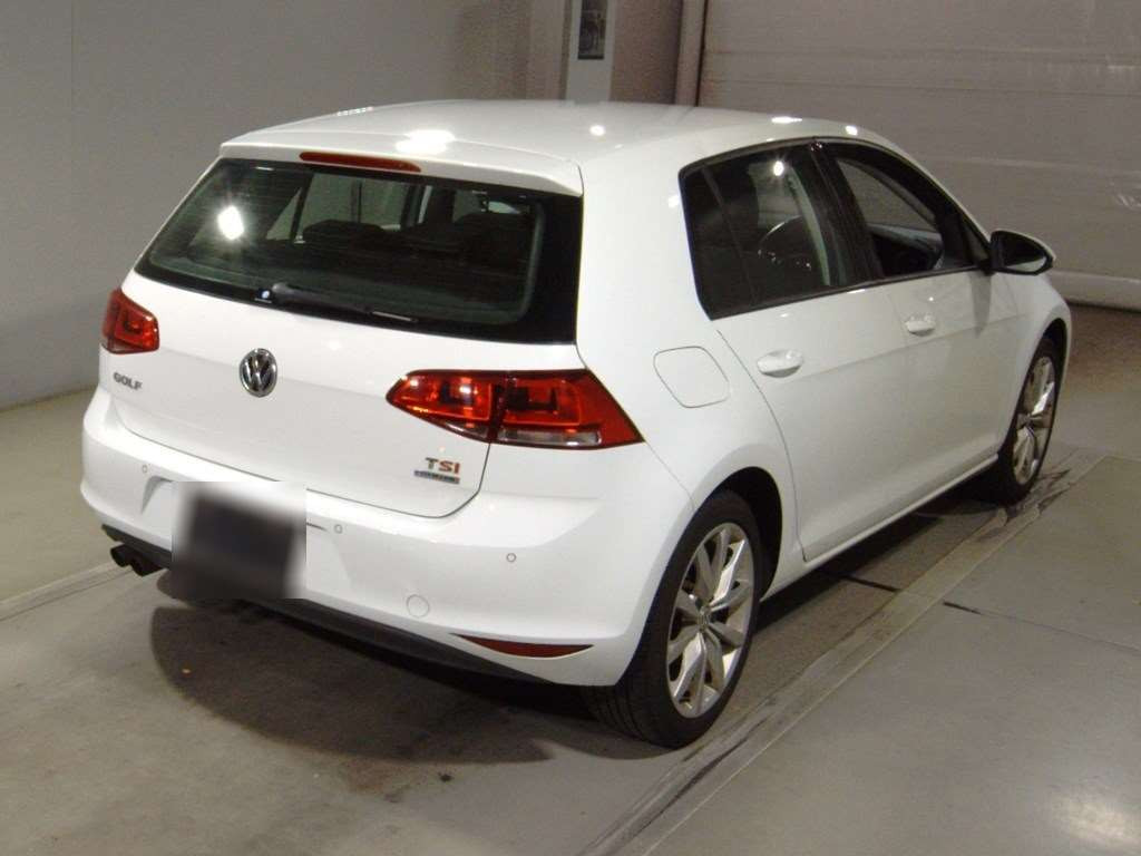 2013 Volkswagen Golf AUCPT[1]