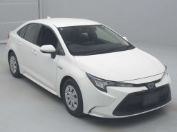 2019 Toyota Corolla Sedan