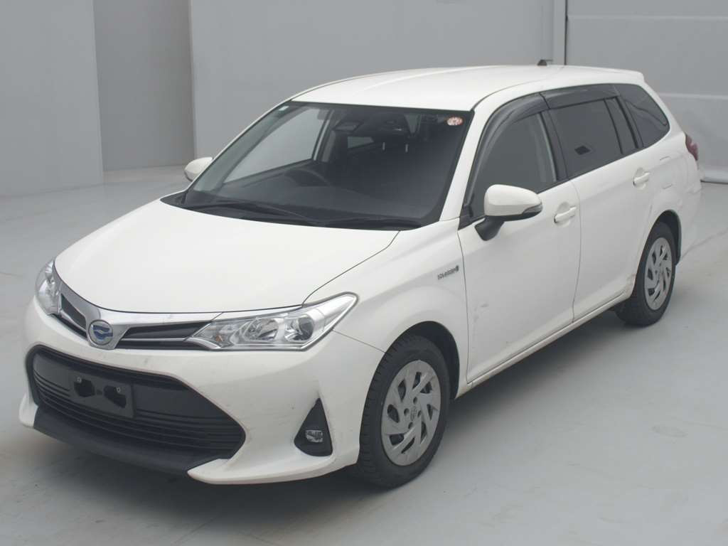 2020 Toyota Corolla Fielder NKE165G[0]