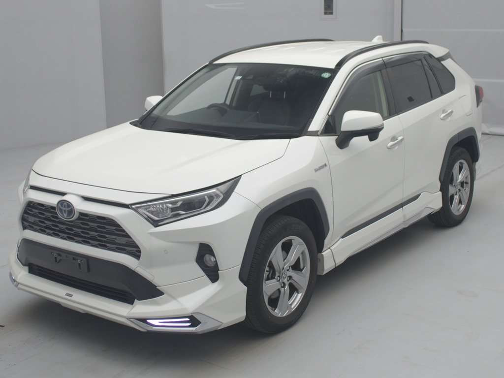 2020 Toyota RAV4 AXAH54[0]