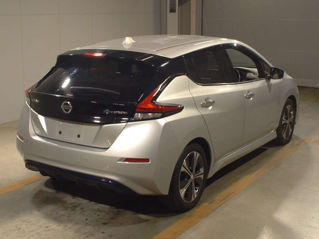 2018 Nissan Leaf ZE1[1]