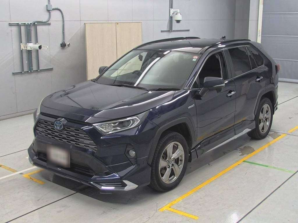 2019 Toyota RAV4 AXAH54[0]