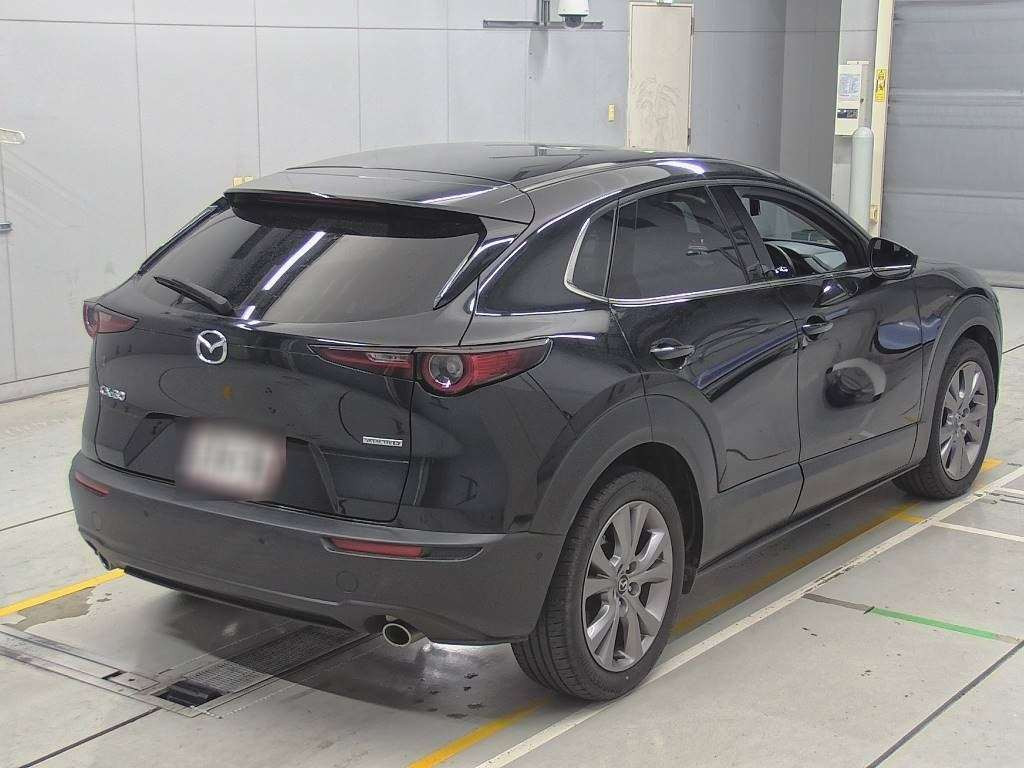 2019 Mazda CX-30 DM8P[1]