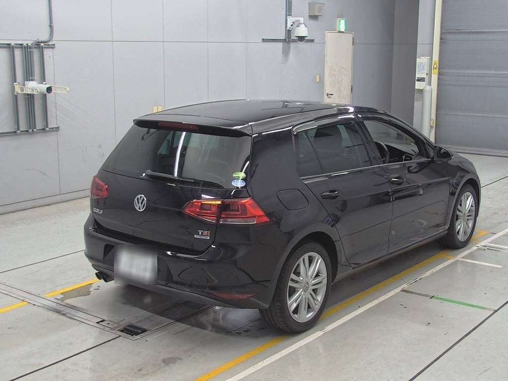 2013 Volkswagen Golf AUCPT[1]