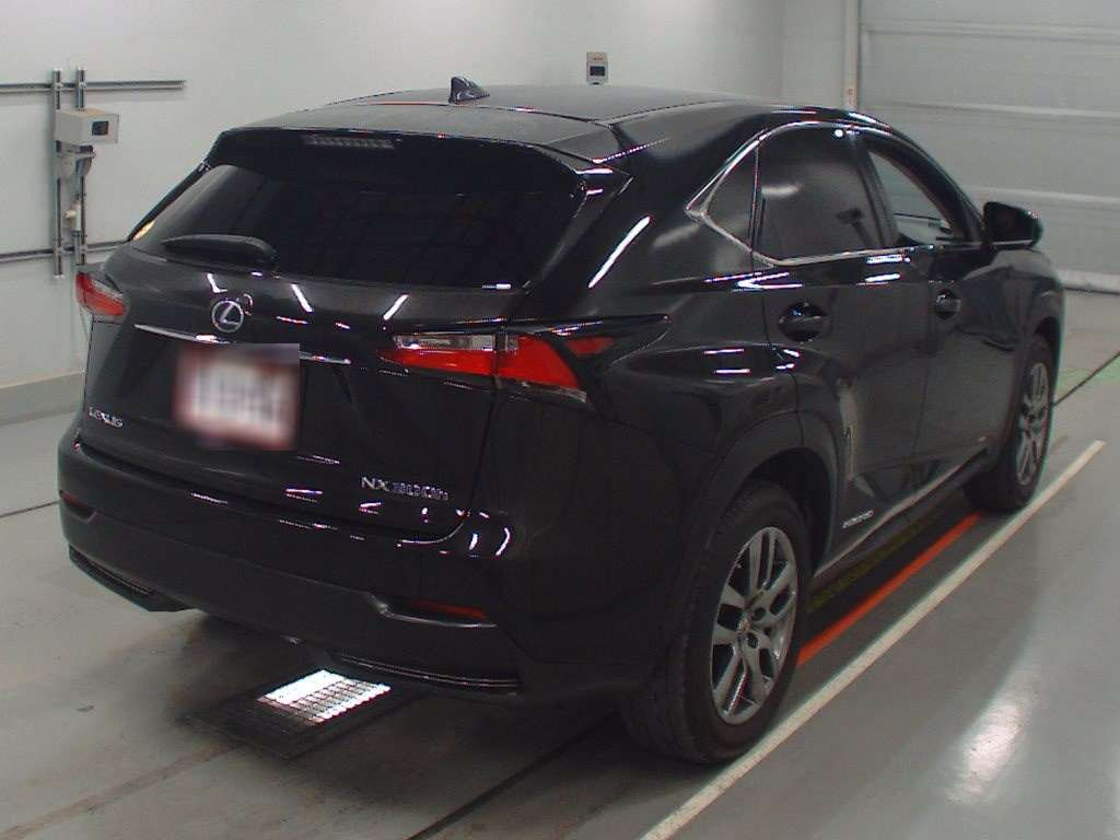 2014 Lexus NX AYZ15[1]