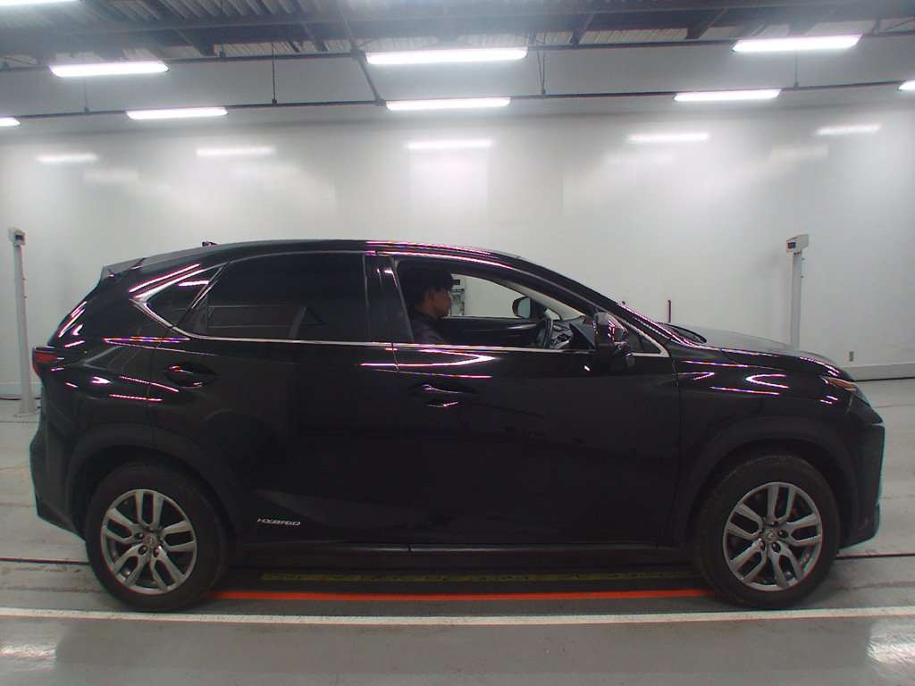 2014 Lexus NX AYZ15[2]