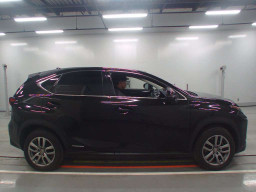 2014 Lexus NX