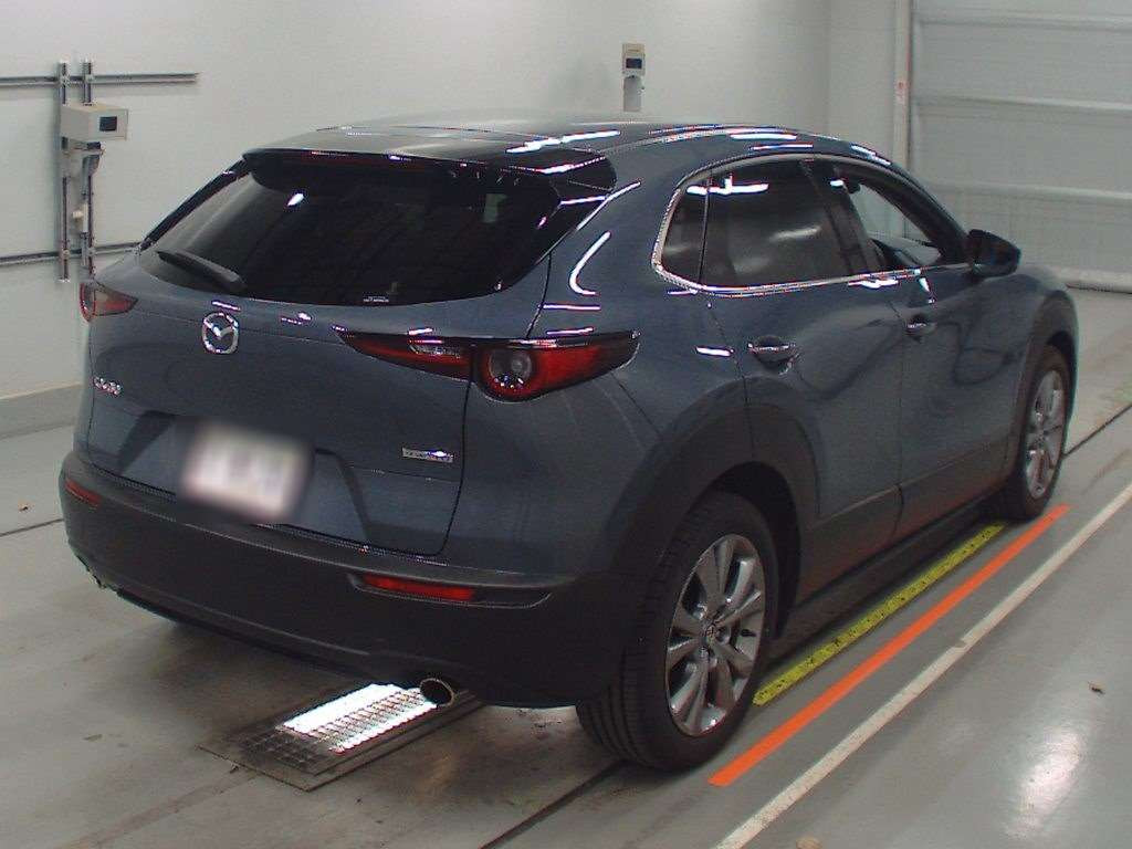 2021 Mazda CX-30 DMEP[1]