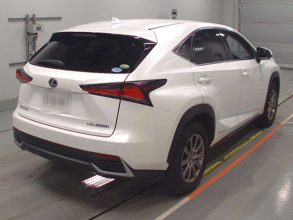 2019 Lexus NX AYZ10[1]