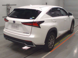 2019 Lexus NX