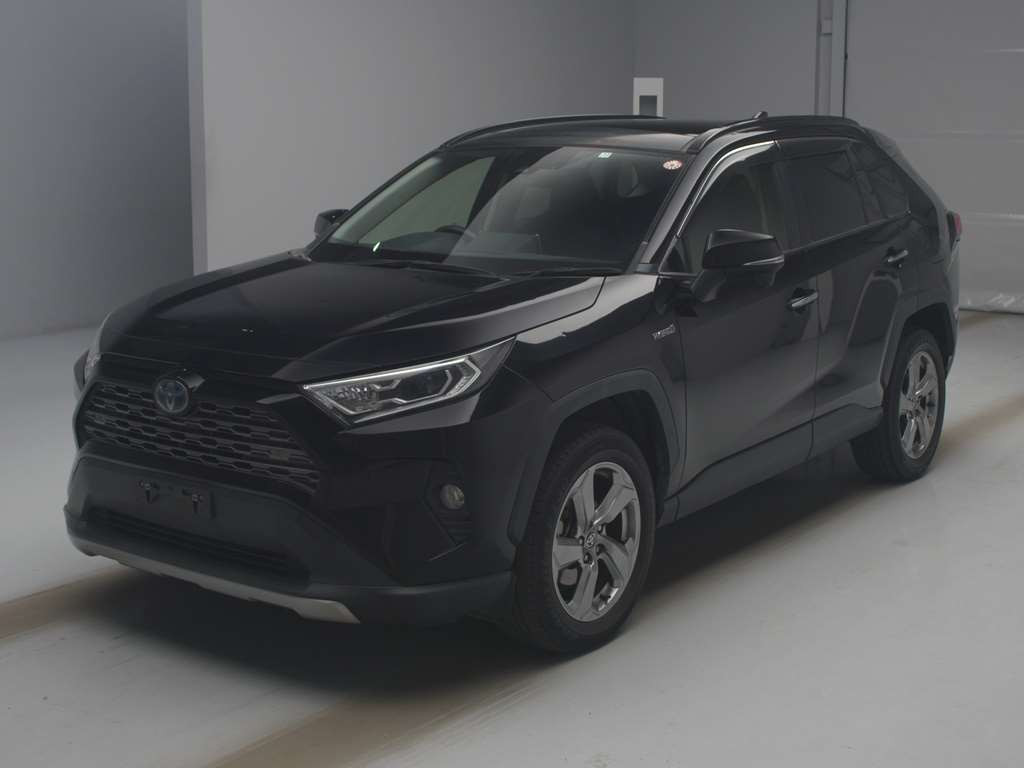 2019 Toyota RAV4 AXAH54[0]