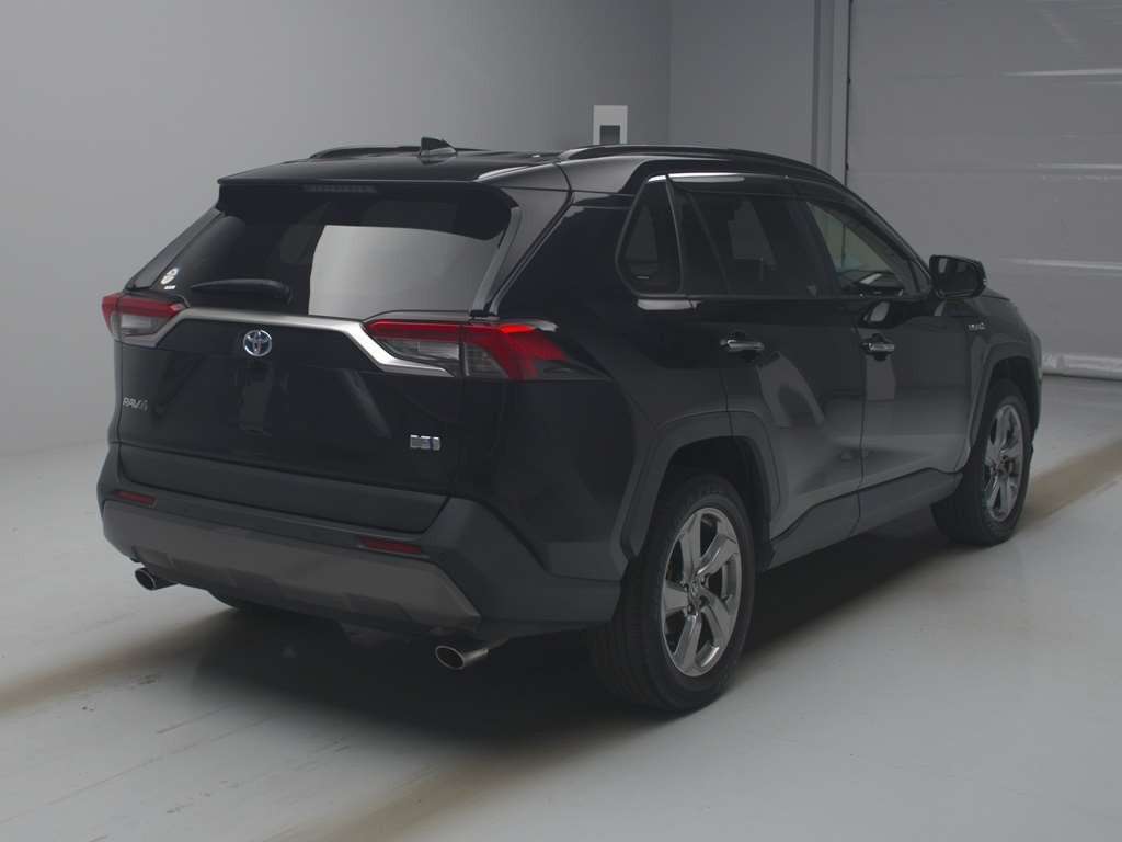 2019 Toyota RAV4 AXAH54[1]