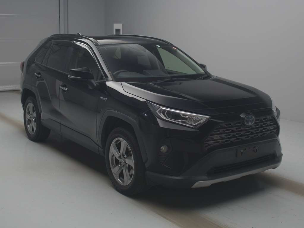 2019 Toyota RAV4 AXAH54[2]