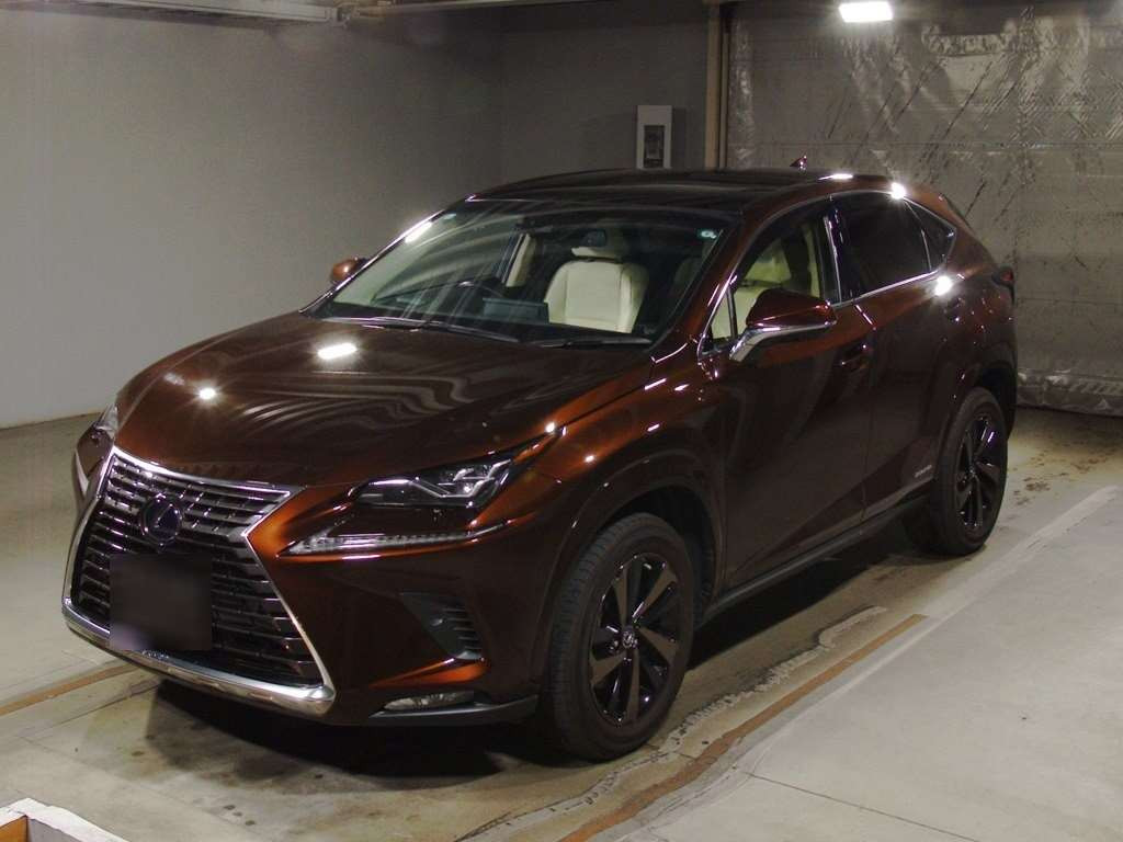 2019 Lexus NX AYZ10[0]