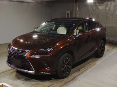 2019 Lexus NX