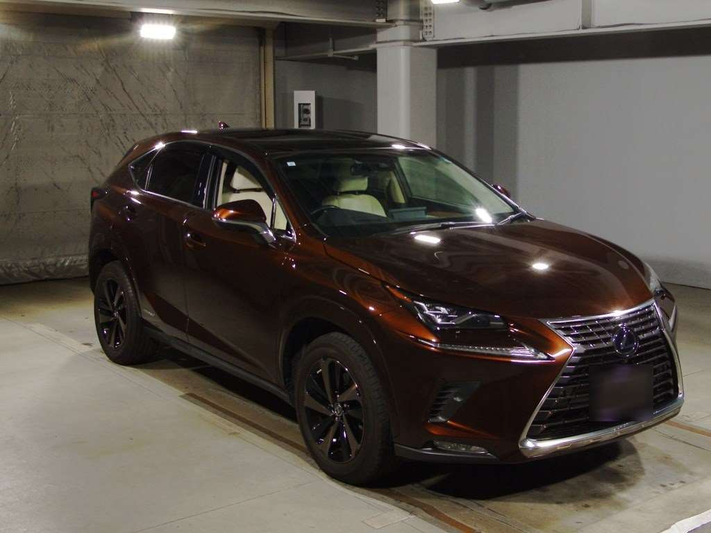 2019 Lexus NX AYZ10[2]