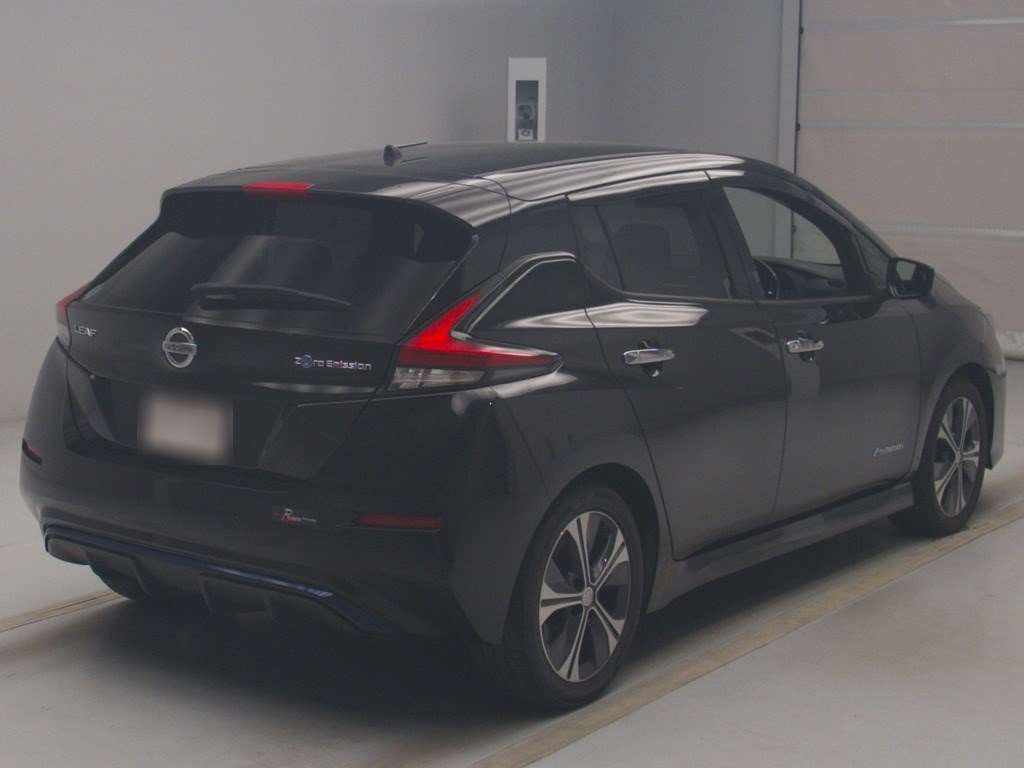 2019 Nissan Leaf ZE1[1]