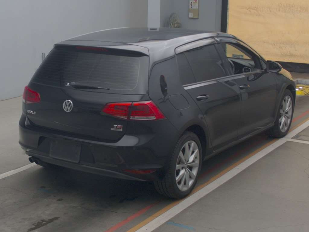 2013 Volkswagen Golf AUCPT[1]