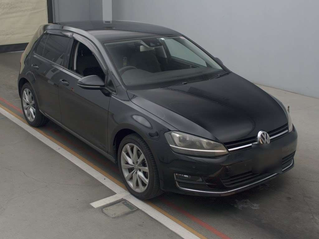 2013 Volkswagen Golf AUCPT[2]