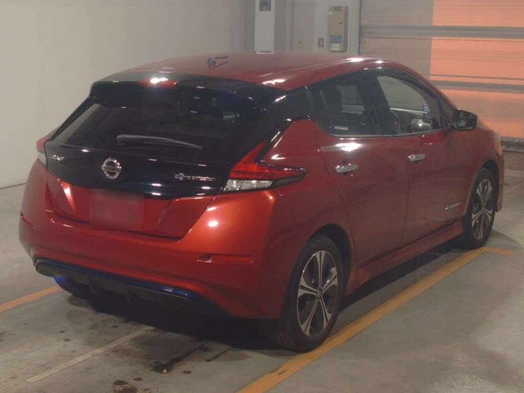 2019 Nissan Leaf ZE1[1]