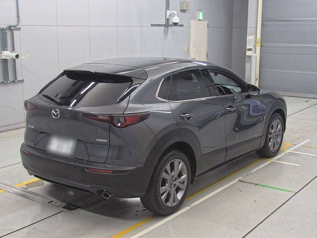 2020 Mazda CX-30 DMEP[1]