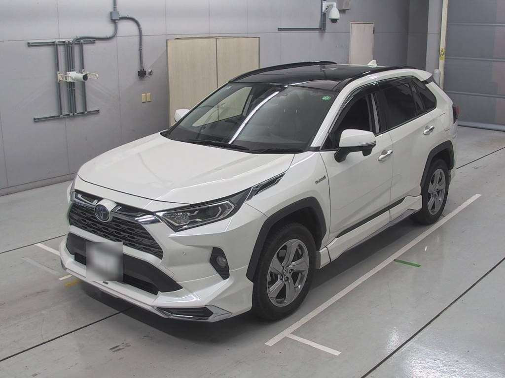 2019 Toyota RAV4 AXAH54[0]