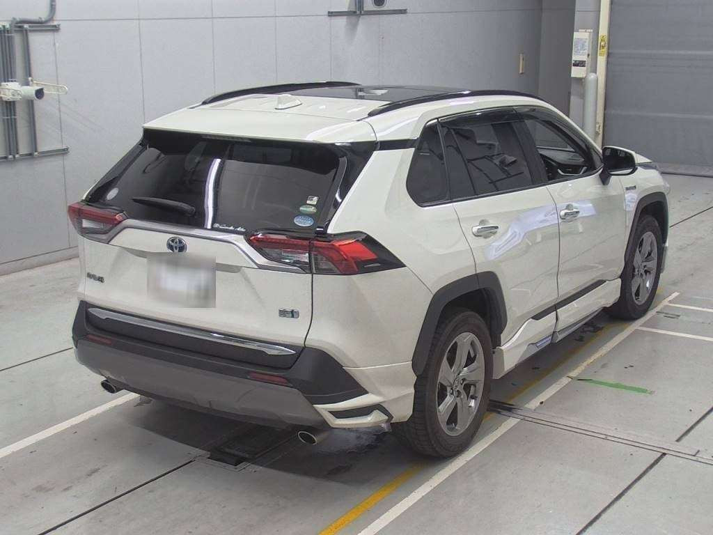 2019 Toyota RAV4 AXAH54[1]